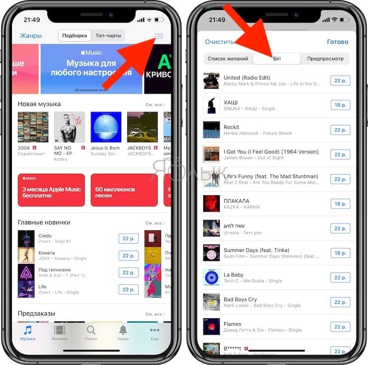Where to see the names of all songs that were recognized using Siri on iPhone or iPad